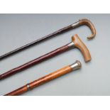 Three white metal or similar mounted walking sticks or canes, two having horn handles