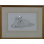 Fran Saunders two pencil portraits of dogs, one 'Pipkin', 32 x 22cm the other 'Brillo' 21 x 35cm