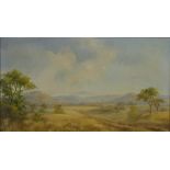 Irene Duggan (b 1936) oil on board of South African / Zimbabwean bush landscape dated 1983, and a