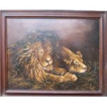 M H Williams oil on canvas lion and lioness, signed and dated 1913 lower left, 65 x 84cm