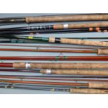 A collection of sea and coarse fishing rods including Uptide, Sunridge, Vitesse, Shakespeare,