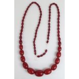 A cherry amber necklace of 77 graduated oval beads, the largest 35.6x27.1mm, 144g.