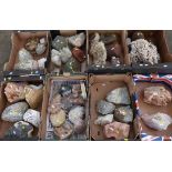 Over 40 large mineral samples and geodes.