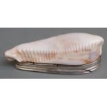 18th century Scottish silver mounted white cowrie shell snuff box with engraved decoration and