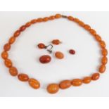 Baltic amber necklace of 30 graduated oval beads, the largest 17.6x14.7mm, 21g together with five