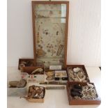 A display cabinet of shells, fish, coral etc with label 'Many from Croyde & Barricane Beach,