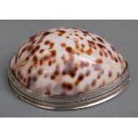 Georgian silver mounted Scottish cowrie shell snuff box with engraved hinged lid, length 66mm