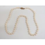 A single strand of cultured pearls with a gold clasp set with an emerald