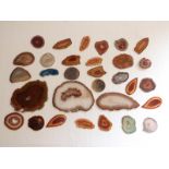 Thirty-one polished agate slices/ samples.