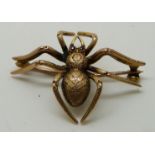 9ct gold brooch in the form of a spider with textured body set with ruby eyes, 3.2g