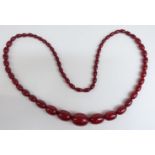 A cherry amber necklace of 60 graduated oval beads, the largest 29.2x21mm, 75g.