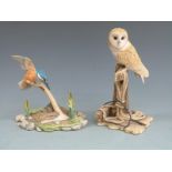 Border Fine Arts Barn Owl and signed Ayres kingfisher, in boxes