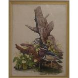 Robert Davison watercolour pair of ducks perched on the stump of a dead tree above water, signed