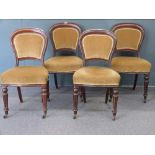 Set of four Victorian balloon back dining chairs with reeded front legs raised on brass castors