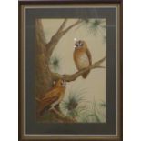 Valerie Croker watercolour, 'Tawny Owls', two owls in a pine tree, signed lower right, 50 x 34cm