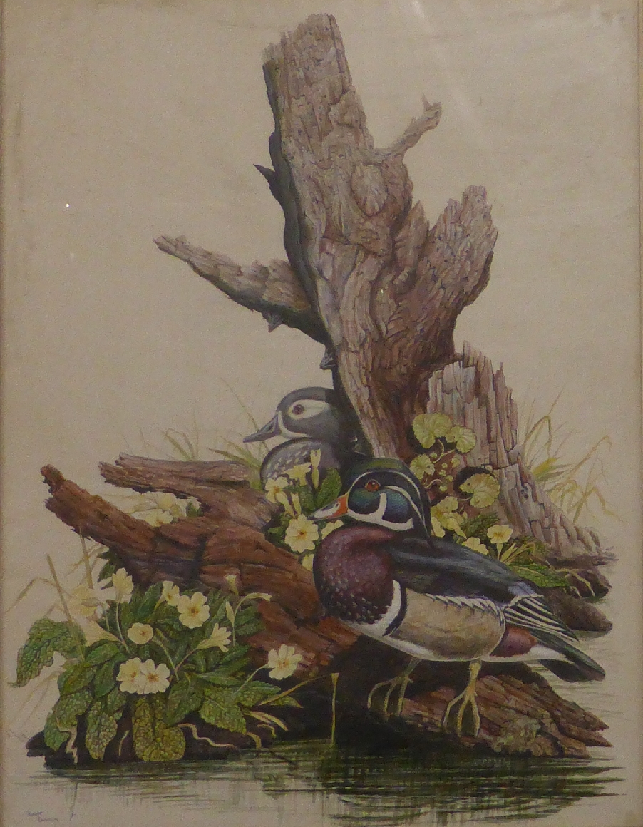 Robert Davison watercolour pair of ducks perched on the stump of a dead tree above water, signed - Image 2 of 5