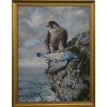 Steve Burgess (b 1960) oil on canvas Peregrine falcon with its catch on a coastal rocky outcrop,