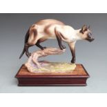 Albany fine China porcelain model of a Siamese cat on wooden plinth, H19cm