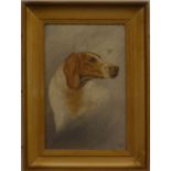 A 19thC oil on board of a hound or similar dog, initialled lower right EHC, 22 x 14cm