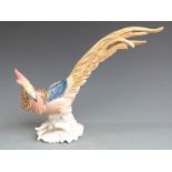 Karl Ens porcelain figure of a Golden Pheasant, H23cm