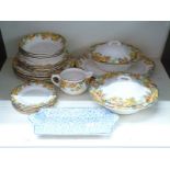 Royal Doulton Nasturtium pattern dinnerware including two lidded tureens, 23 pieces in total