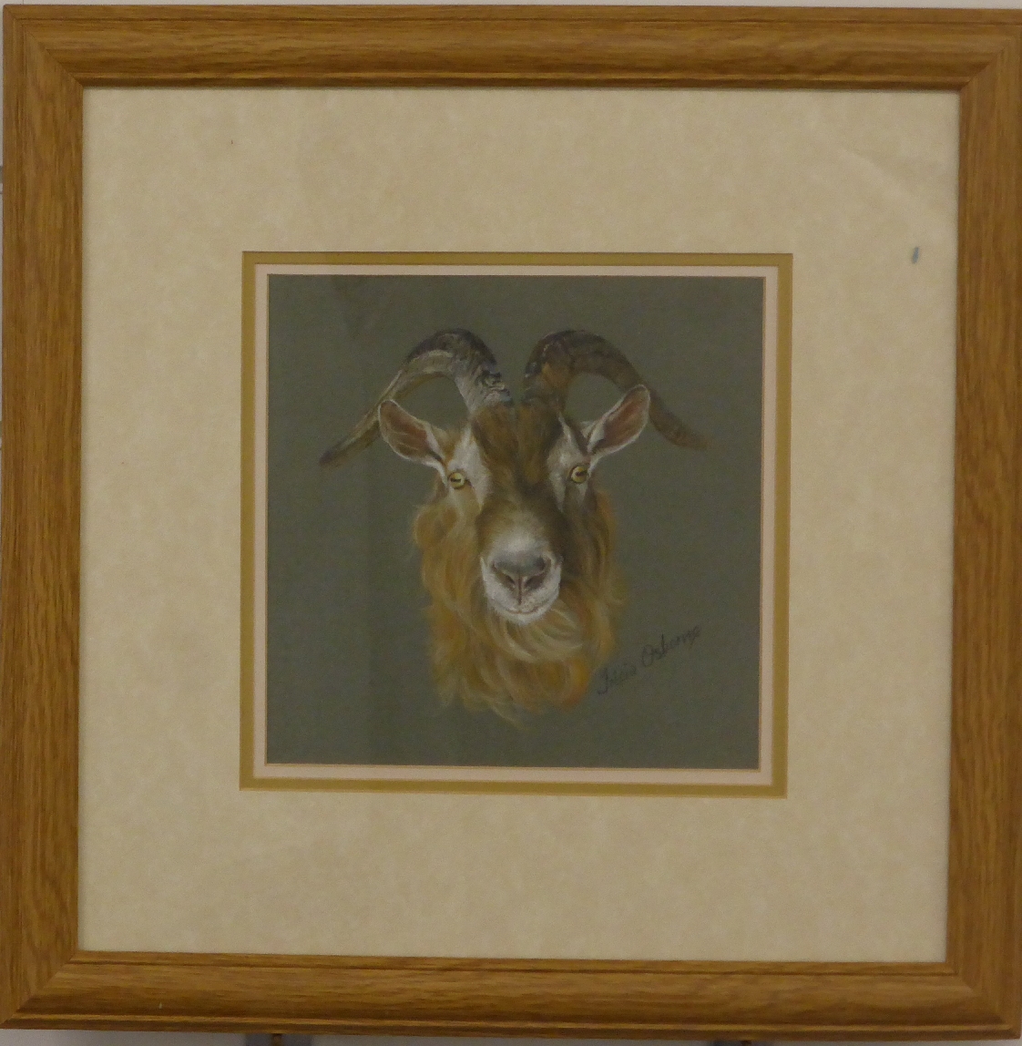 Tricia Osborne pastel study of a goat, signed lower right, 18 x 18cm