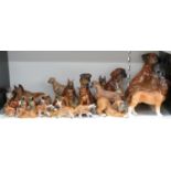 A collection of ceramic boxer dogs, approximately 38, tallest 30cm