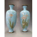 A pair of 19thC Japanese cloisonné vases with floral decoration, 30cm tall