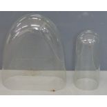 Two glass domes for taxidermy use, 39cm and 50cm tall