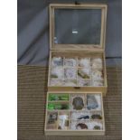 A cased collection of minerals and fossils including agate, tiger's eye etc in a small wooden two