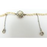 A single strand of natural pearls with diamond and pearl clasp, with AnchorCert report, 7.8g