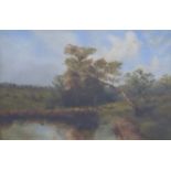 Victorian oil on canvas of a lake scene, signed lower right M Brown, 28 x 43cm, framed and glazed