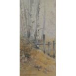 H Royston Hudson watercolour of fence through forest, 47 x 23cm, framed and glazed