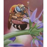 David Haines oil on canvas signed and dated 2019, Pollinating Bee, 59 x 69cm