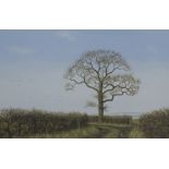 Simon Turvey (b1957) watercolour winter scene with oak tree, track, birds and pheasant, 19 x 21cm,