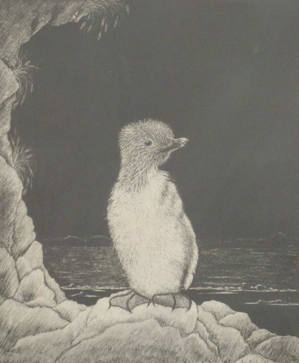 Marjorie Chadwick Harris print 'Little Guillie' the first Guillemot to be hatched in captivity, - Image 3 of 3