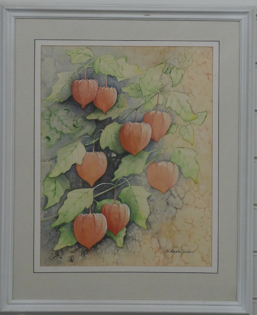 H Royston Hudson watercolour of Chinese lantern flowers, 46 x 36cm, framed and glazed - Image 2 of 3