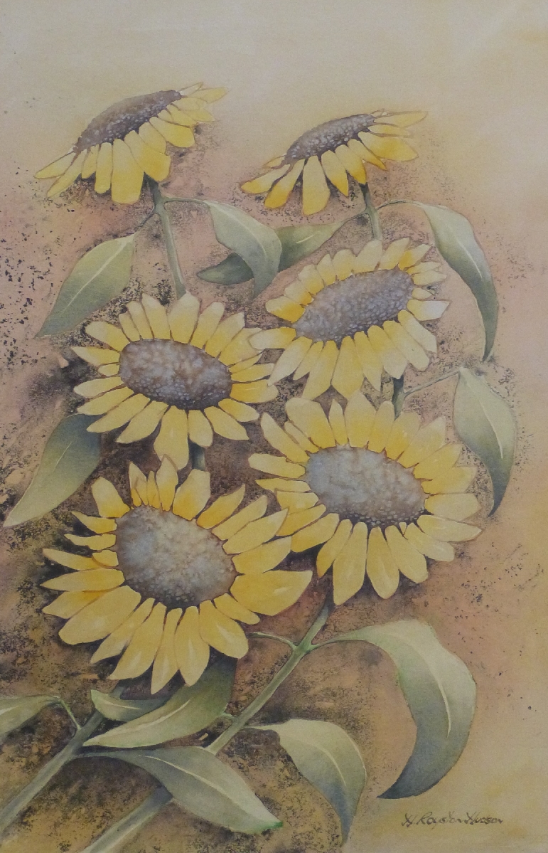 H Royston Hudson watercolour of sunflowers. 55 x 35cm, framed and glazed