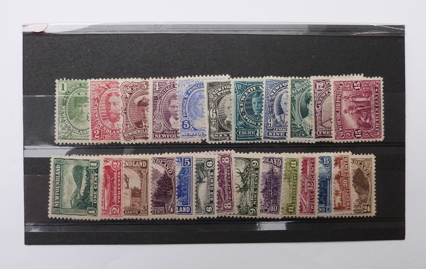 Newfoundland mint stamps. 1911-16 1c-15c. 1923-24 1c-24c. 1928-29 1c-30c plus extras. 1929-31 1c- - Image 3 of 3
