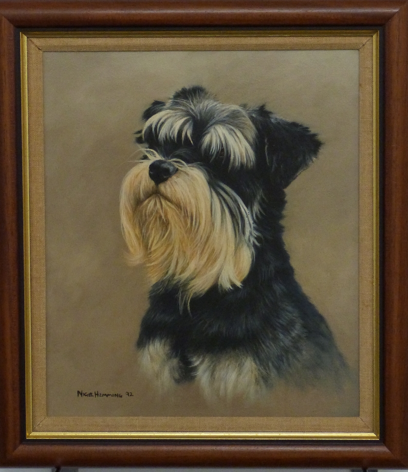 Nigel Hemming (b1957) oil on canvas of a miniature Schnauzer dog, signed and dated 92 lower left, 34 - Image 2 of 4