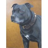 Nigel Hemming (b1957) oil on canvas Staffordshire Bull Terrier dog 'Tom', signed lower left, 38 x