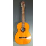 Di Giorgo 'Estadante No. 18' Brazilian acoustic guitar with six nylon strings and carved tuning