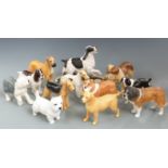 A collection of Beswick dogs, two in boxes, tallest 20cm