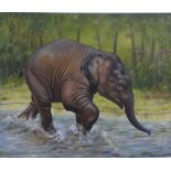 David Haines oil on canvas signed and dated 2019, Baby Asian Elephant, 59 x 69cm