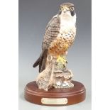 Royal Doulton Peregrine Falcon HN 3541, H27.5cm