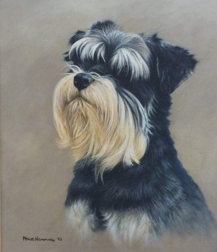 Nigel Hemming (b1957) oil on canvas of a miniature Schnauzer dog, signed and dated 92 lower left, 34