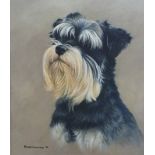 Nigel Hemming (b1957) oil on canvas of a miniature Schnauzer dog, signed and dated 92 lower left, 34