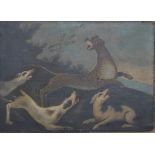 18th/19thC oil on canvas of dogs or hounds chasing a leopard or similar big cat, 70 x 98cm