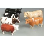 Six Beswick cattle including Aberdeen Angus, Charolais, Ayrshire etc, tallest 14cm