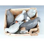 Crow, pigeon and magpie decoys, a container of shot, ear defenders and a stand